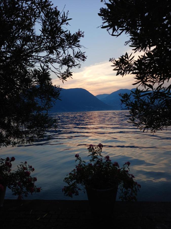 L'Oleandro Sul Lago D'Iseo B&B Sulzano Εξωτερικό φωτογραφία