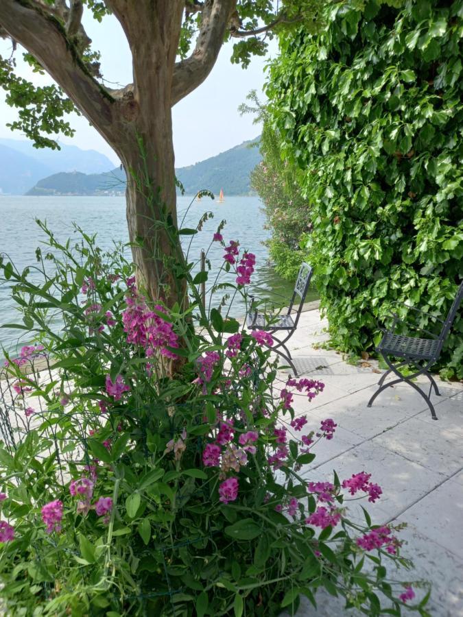 L'Oleandro Sul Lago D'Iseo B&B Sulzano Εξωτερικό φωτογραφία
