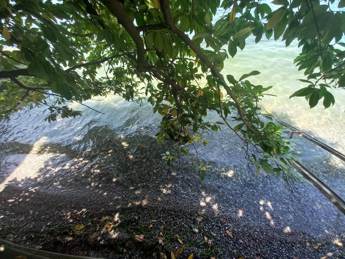 L'Oleandro Sul Lago D'Iseo B&B Sulzano Εξωτερικό φωτογραφία