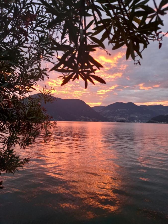 L'Oleandro Sul Lago D'Iseo B&B Sulzano Εξωτερικό φωτογραφία