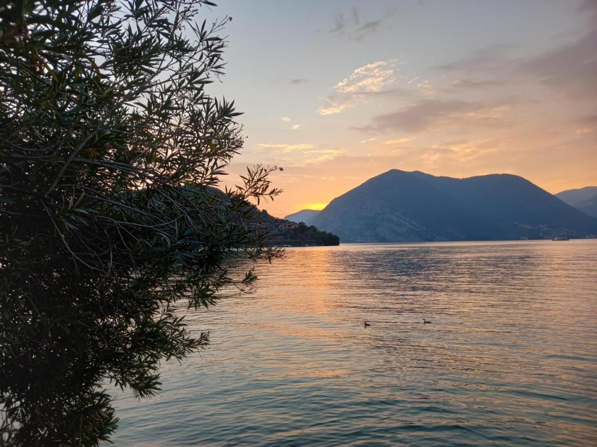 L'Oleandro Sul Lago D'Iseo B&B Sulzano Εξωτερικό φωτογραφία